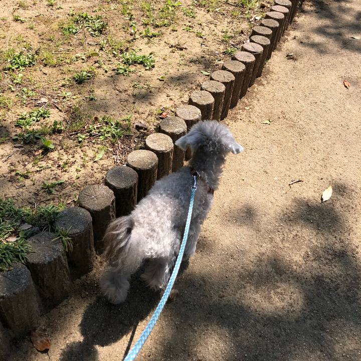 581bdb46 8db3 4f78 81b6 7834722bc552 1587782061410