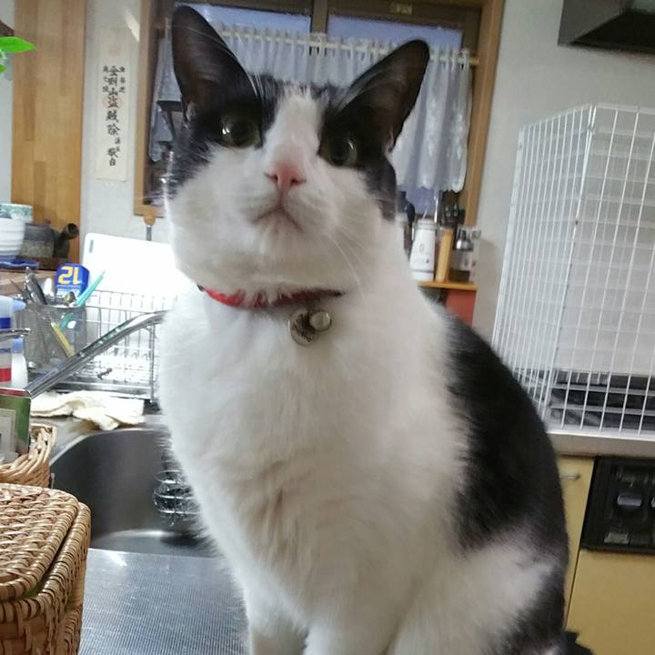 581bedfd 1a51 4e25 892a 7d6b7254d613 1578265554082