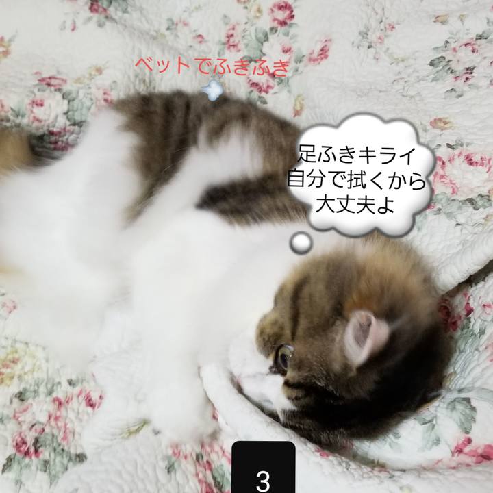 581bfec5 5504 4278 8950 9fa1f11d8a0d 1564896326716