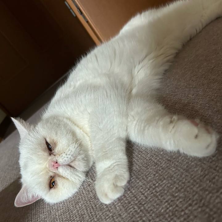 581c0582 bba7 48bf 93ad 4d769fe85d72 1728008476665