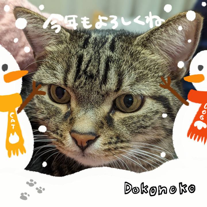 581c08e1 cfa8 4eb9 8ca4 da2a58eddf1e 1704110437407