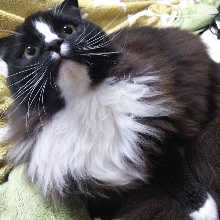 581c1593 51af 428c ba0f 5ffd38a733fa 1655985772826