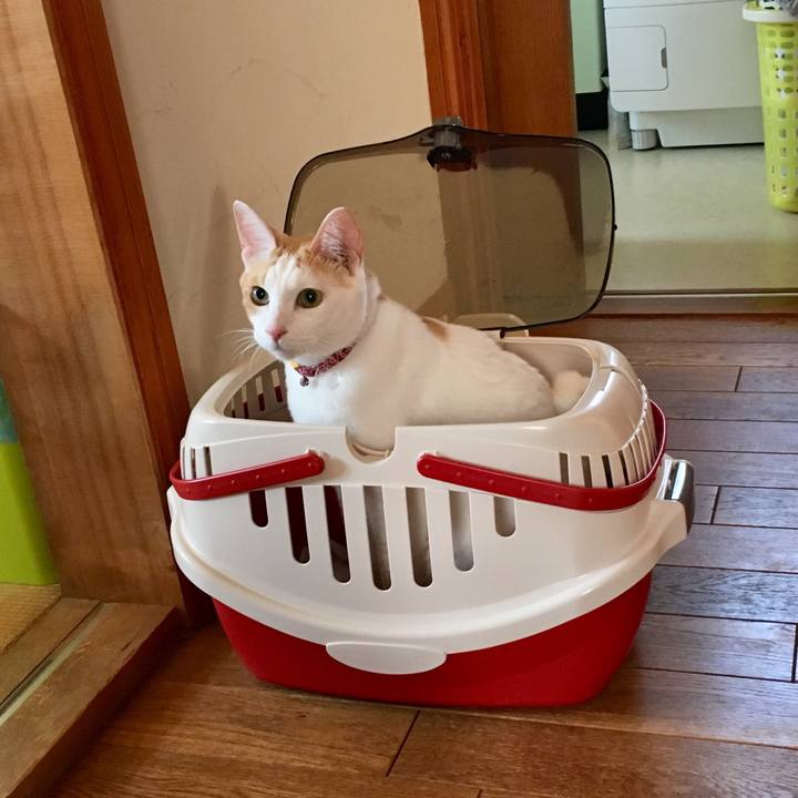 581c1f08 7c64 45a2 9087 bcaf308dc79f 1508913966481