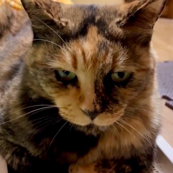 581c73f1 73c5 4f14 9434 00011f42aeda 1754169842937