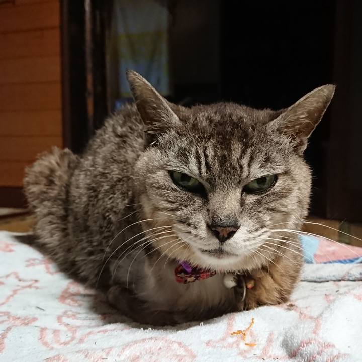 581c84a9 0805 4a84 94f7 c8307746bea6 1595928253756