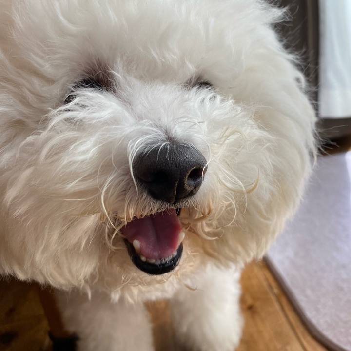 581c891d 7588 462c 8568 01f994284d16 1635729993463