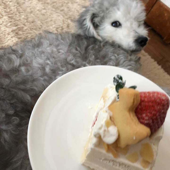 581c8a2e 9a40 48d0 a041 517afa80ad31 1609114827502