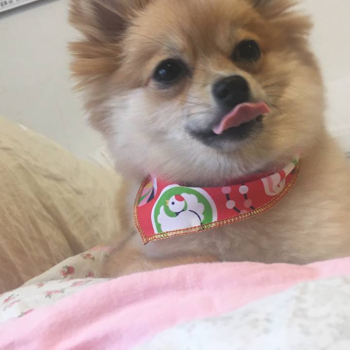 581cf02a 18ca 4013 bfc0 43c135fc9c58 1514781363648