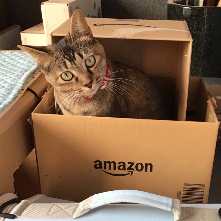 581d0c7d 2ed4 4267 8a73 4254bca84a15 1605763860529