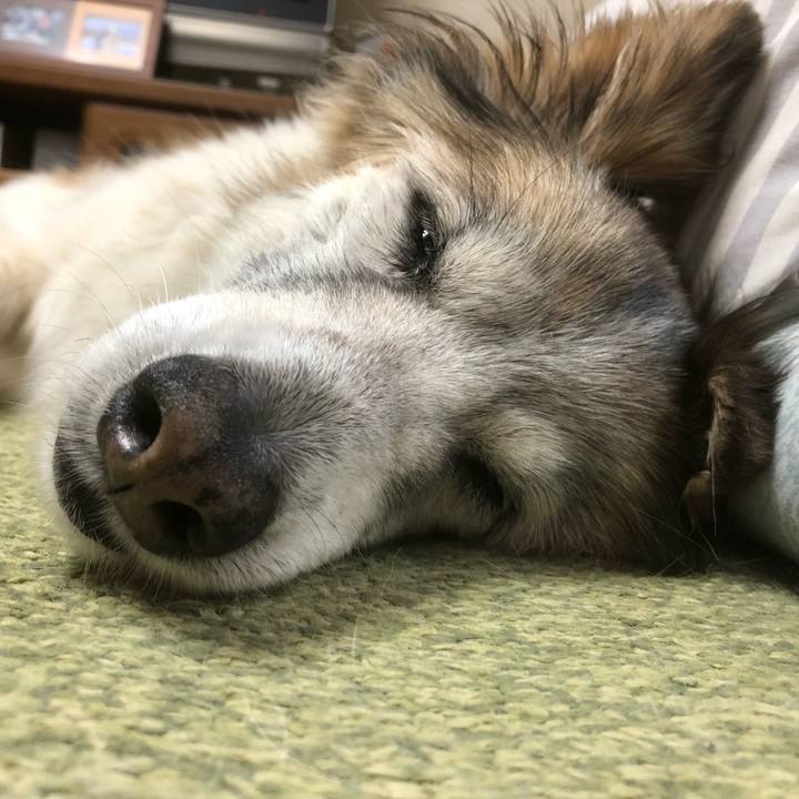 581d2879 6bc3 4c1a 8521 83d52f6080d6 1539322637567