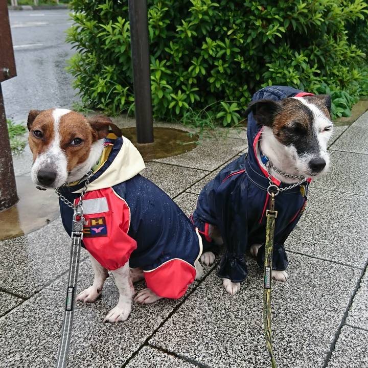 581d287e 8fde 4068 891d 28d7cbab7b76 1563229674572