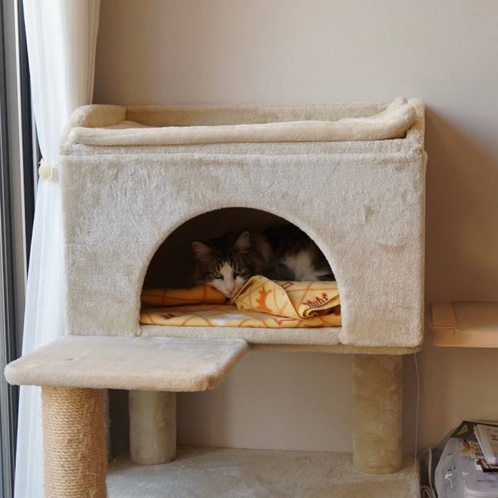 581d32d8 68f7 429e aaf8 ea631e0357d9 1643617643051