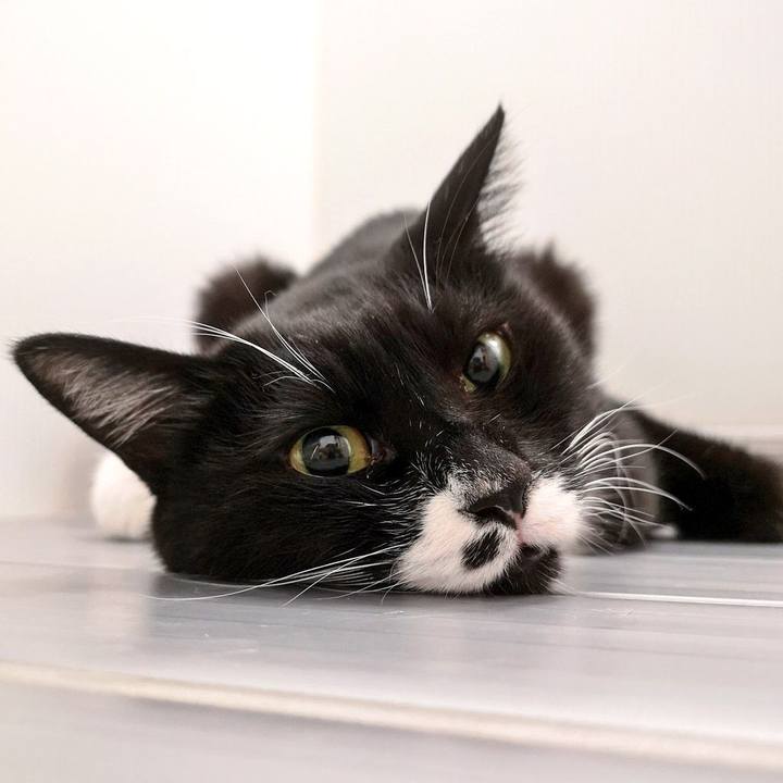 581d3f62 6b39 4c5d acd1 74746e19459d 1541603040766