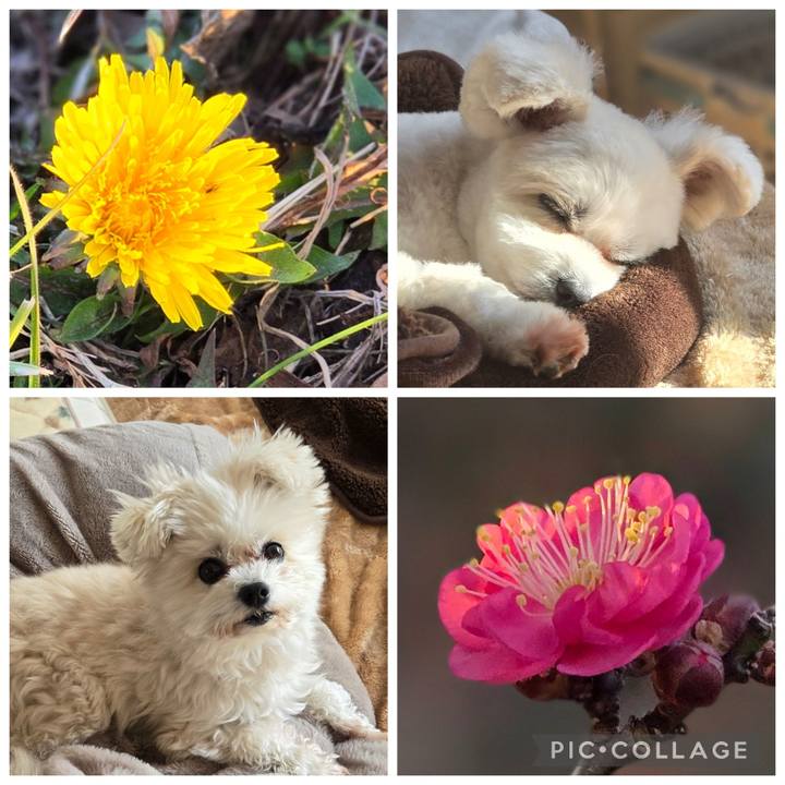 581d654d 4233 4697 8c56 76da39de934b 1768772529062