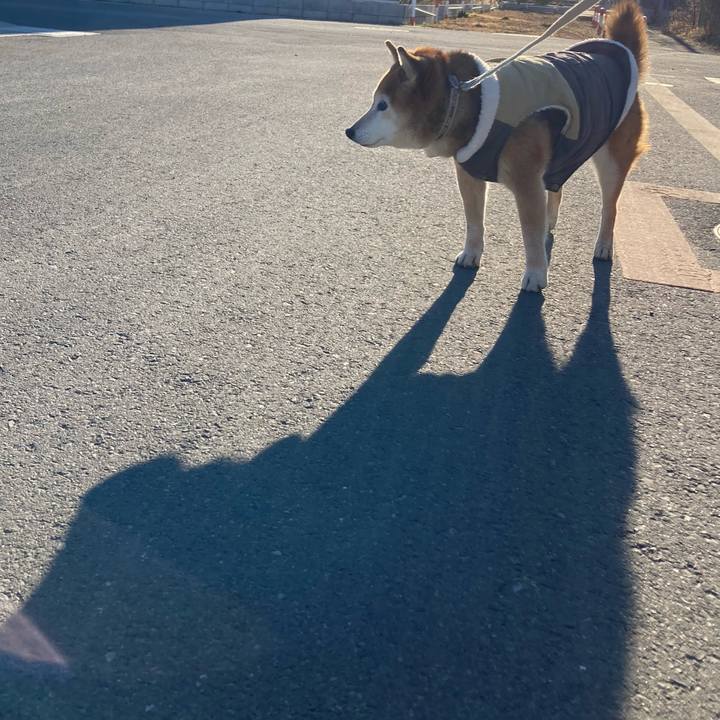 581d6fac 4ccc 47aa bfb1 01fef65dd426 1740210105223