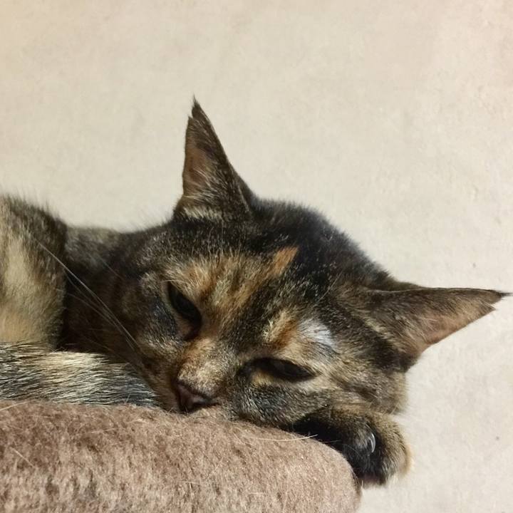 581d8368 d32f 449e 9d1e 90cce7951fca 1549776985788