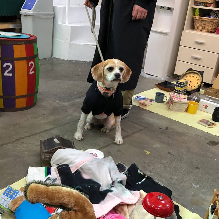 581d8845 cdf6 4ecd b109 0d6692f14ec9 1553952362139