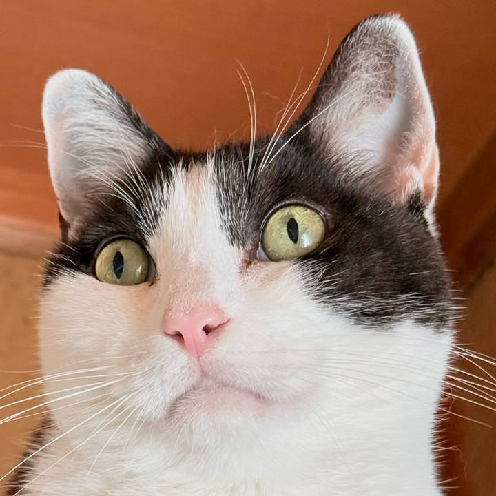 581db0cd c6b9 4d6d 8810 f1f10406103a 1762224024827