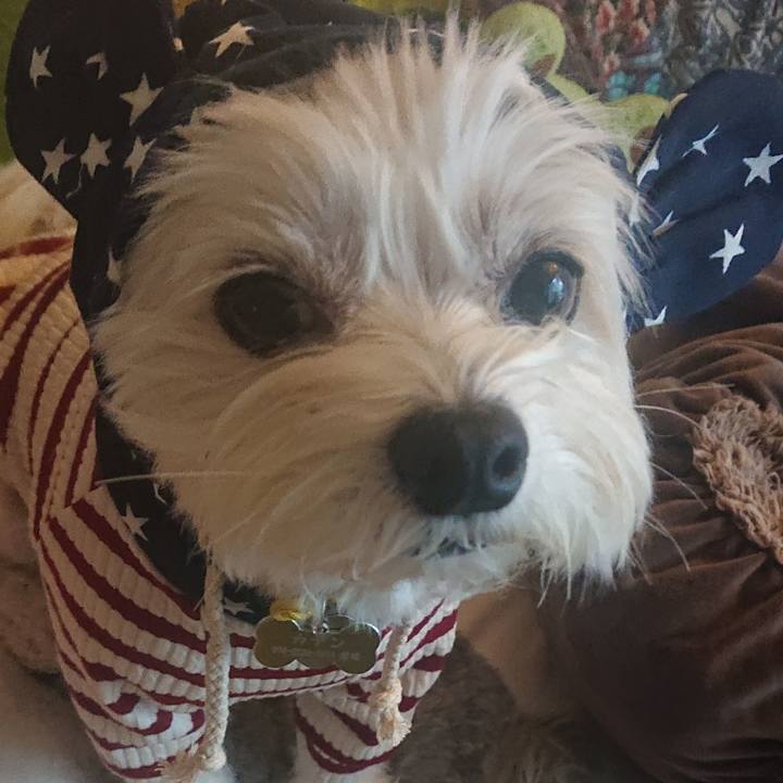 581de88e e927 4e2b 9951 a1eed4799254 1608718318285