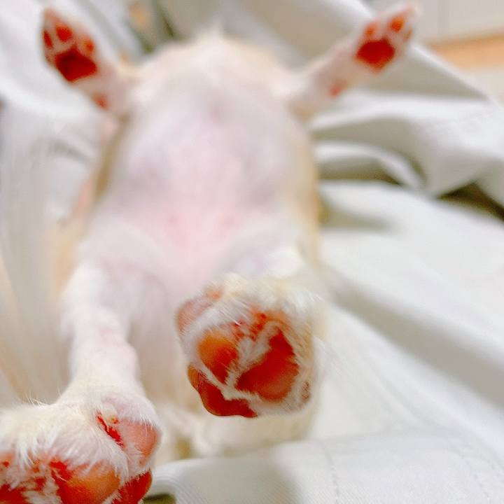 581e1efe 688a 41db a97f 9c78347ae68c 1632951481308