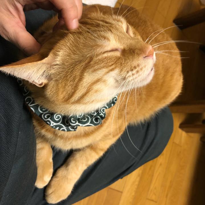 581e3eef f611 4f59 8c12 8961eaa4d3c5 1576227046416