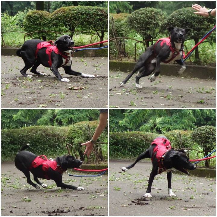 581e47a9 71d0 4f74 9d1a 4e99fabf9ab6 1591489821944