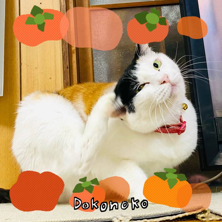 581e4895 f263 4d5e 916e 1cd02fe95fb3 1762836568227