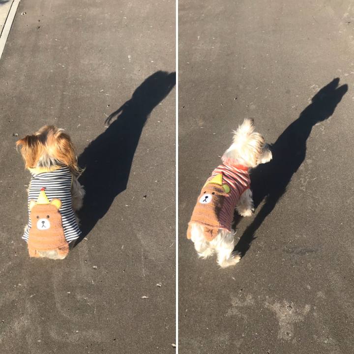 581e68ad ab10 4b2d b7b1 0eae2f1d2fa0 1572342824661