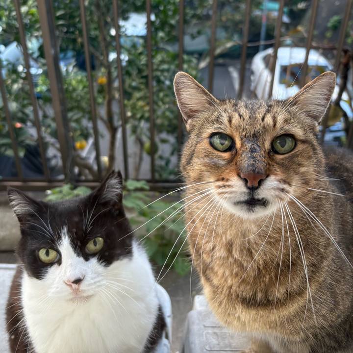 581e9750 bbf9 4fe4 b862 56de483ef9f3 1762725958414