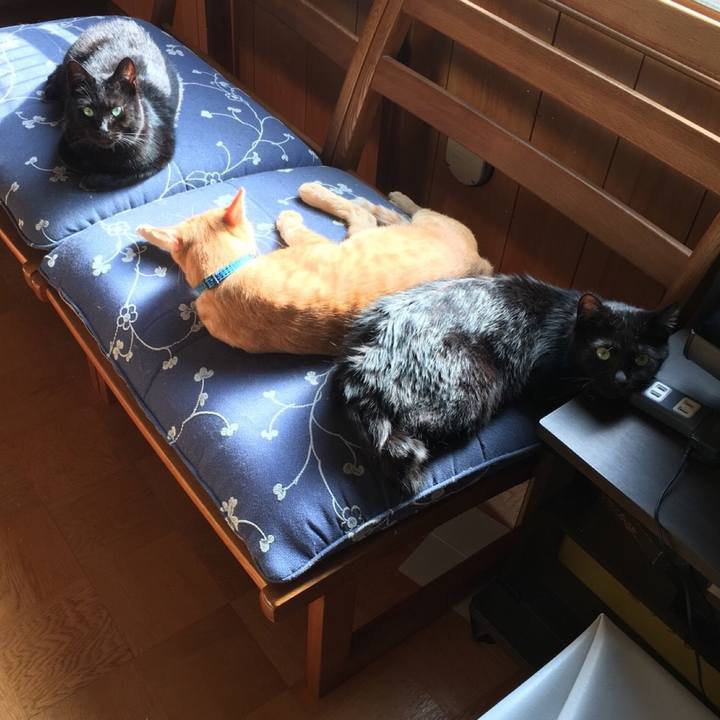 581ea071 331f 45b6 ba7a 94dbc9d3204f 1561246676382