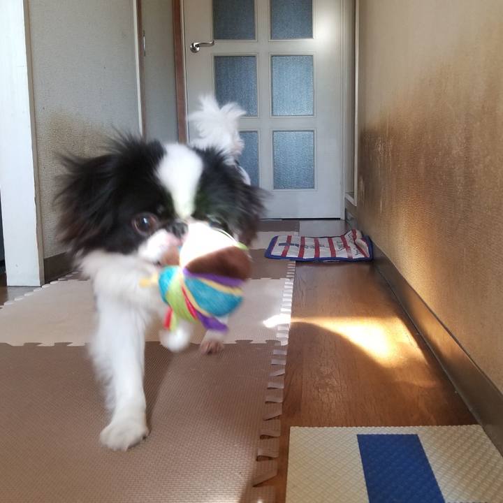 581f0b35 8d62 4420 9ed1 c5106e40f7c6 1640409058315