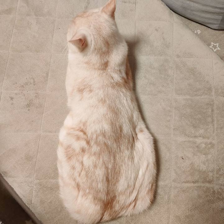 581f1368 240e 4820 a095 2a8e37d9d1bd 1673710638603