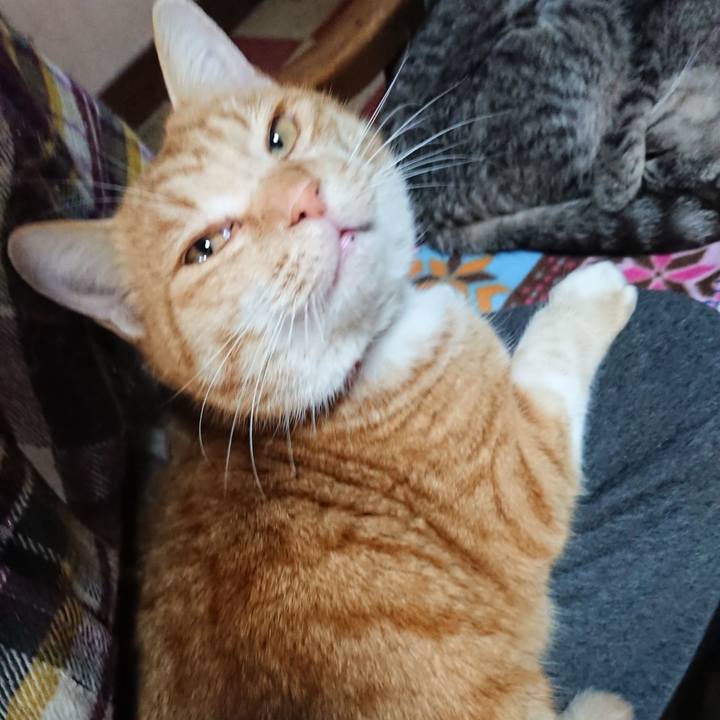 581f65fb e792 4351 a661 3ab88682ca40 1576972681964