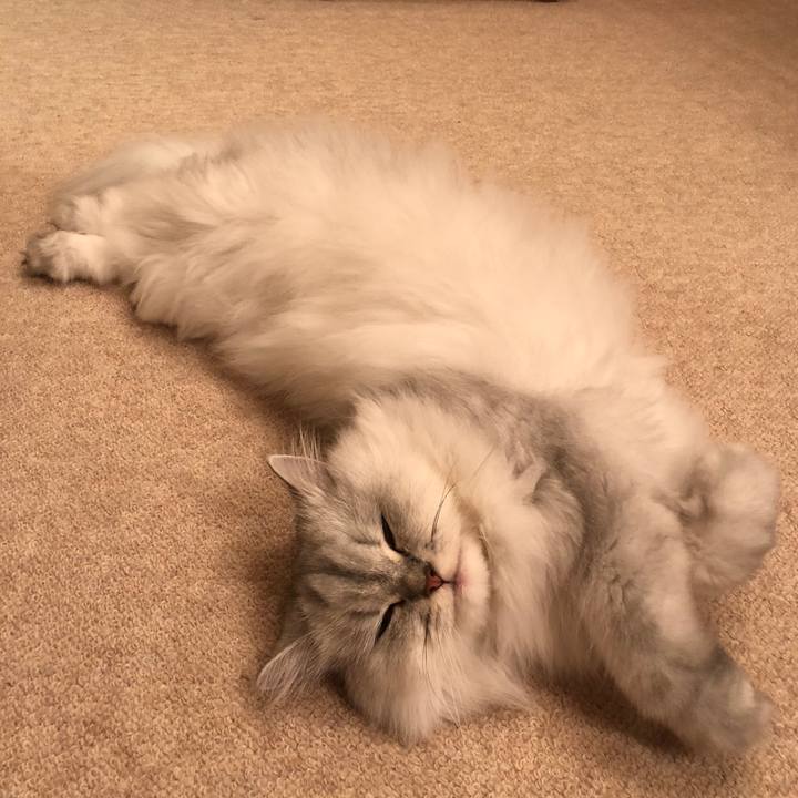 581f8def 9e2a 4064 8ab4 8af4bb9c3cd8 1537180446089