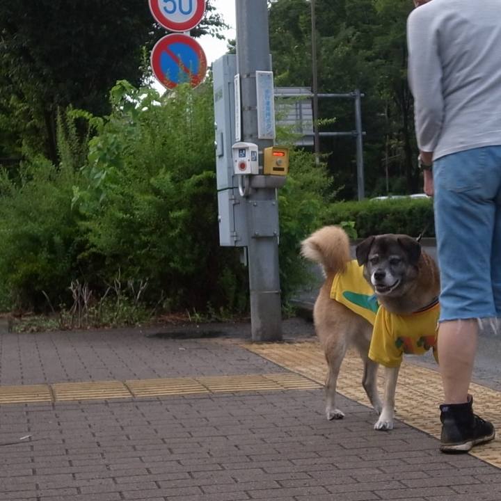 581f9c90 849a 43e2 9014 07da9e7af68e 1586912070366