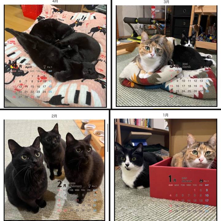 581fa552 b273 4c88 bf9d b03fa8a97793 1763260233853