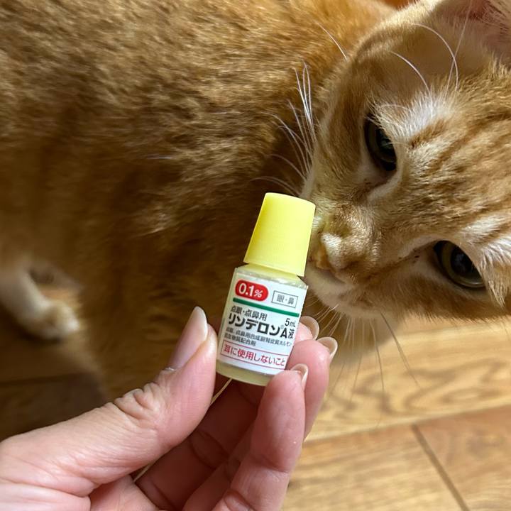 581fa9df ba13 4d5e b0cf 1b35473a8f07 1680088141300