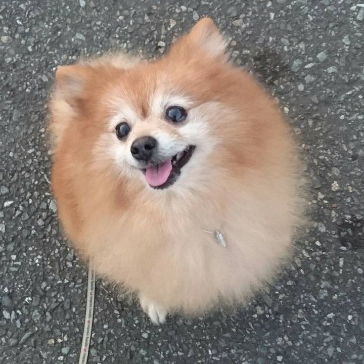 581fcbf1 1e2e 4223 88d2 b3eea499f6b6 1569926807152