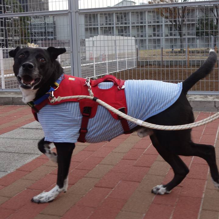 581fd58c 8757 4f01 abb5 9b61e2f117a7 1670719566145