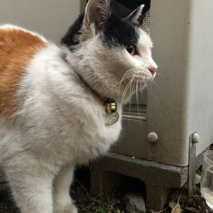 581fe353 2913 4970 be69 d894908a26eb 1611872417342