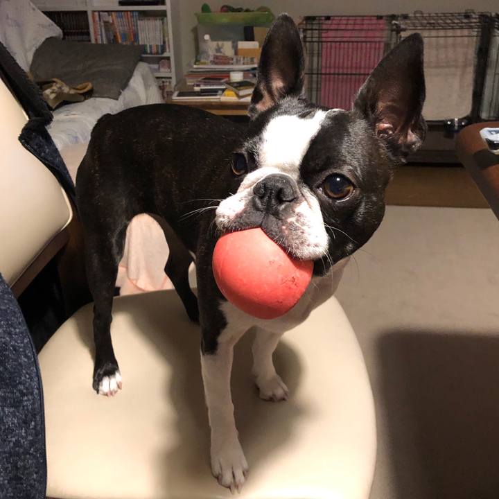 581fe4be 6c78 4856 bcf9 13799c657694 1584272497092