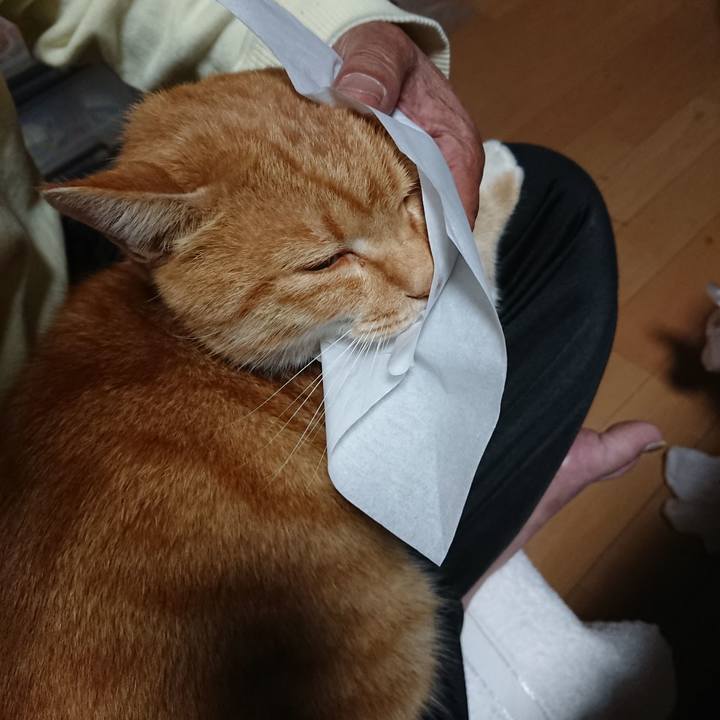 581fe910 cb34 4b50 a887 de53cef66370 1604003240197