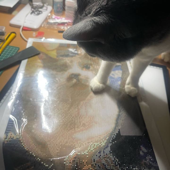 58200235 0577 481e aa51 e882e45fa7ac 1735574612507