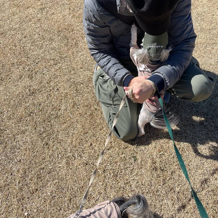 5820138f 64c4 443a b8c0 20ef92575e9c 1771680303783