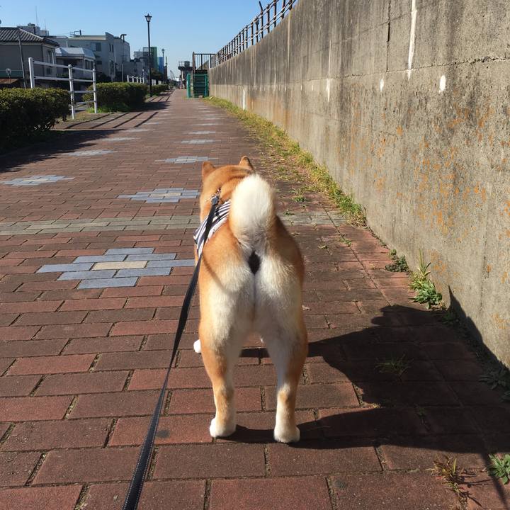 58202a9c 0dad 414d 967f 7c58b865d1df 1543546811495