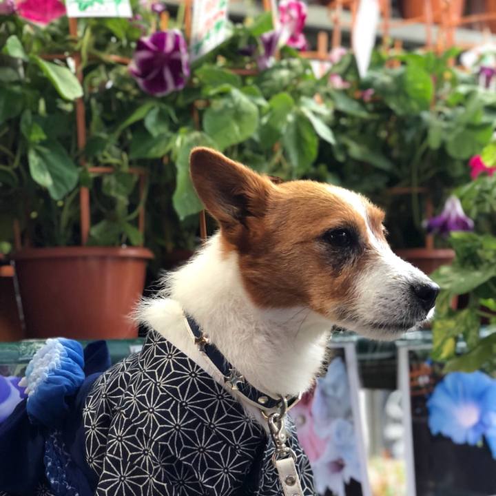 582038a3 5e80 4d59 8246 5471b2ad274b 1535547620588