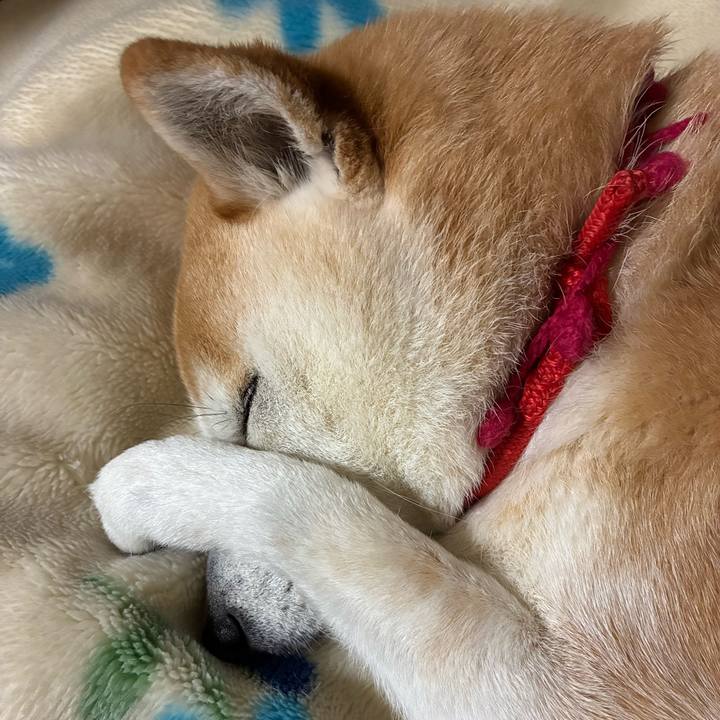 58207cfb 656b 4542 8d05 d5cfd1badb89 1740964147287