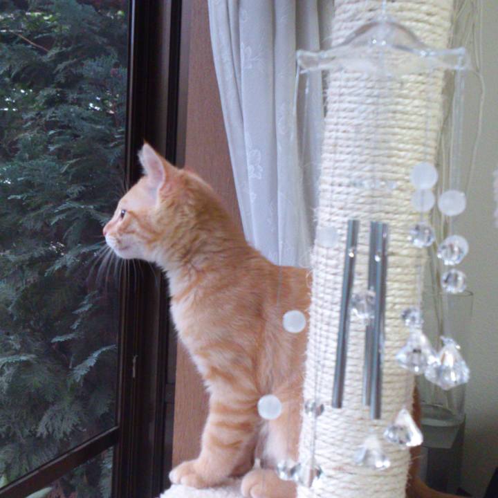 58211ef3 1792 4042 9180 b06fde7c3f6d 1598398625481