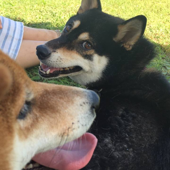 58212b11 2d69 44c6 89f5 7897cab6176f 1566340904963