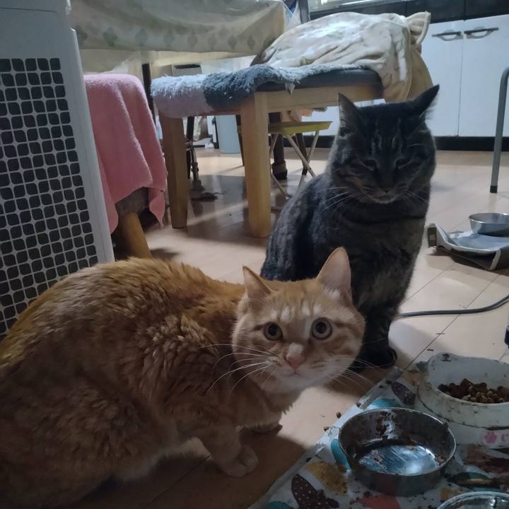 582155cd 27dd 4257 b234 60e63d7db606 1672650320785